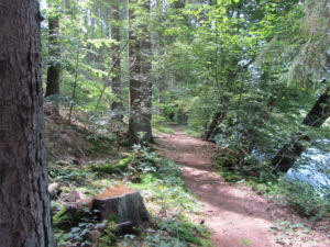 Trail hinunter nach Bad Honnef