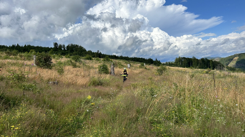 Schöner Trail am Buttenberg