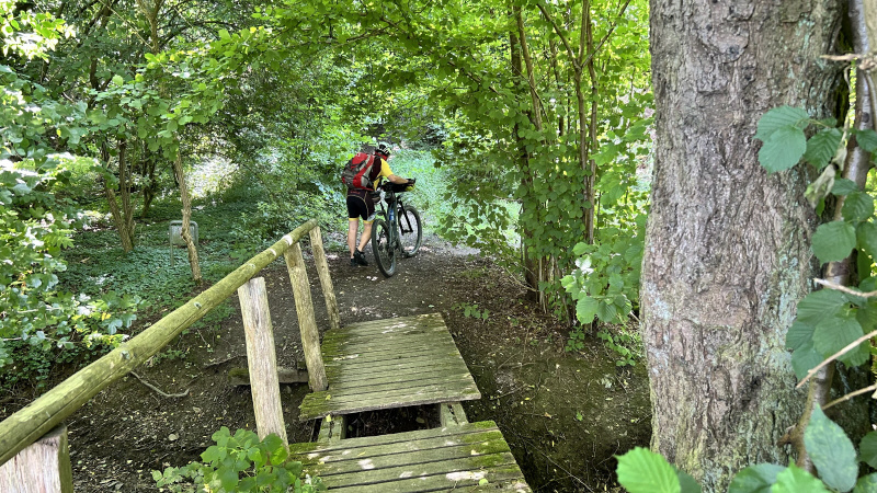 Brückenschäden an der Schee